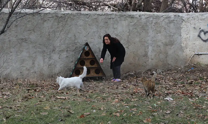 Tuşba Belediyesi'nden sokak kedileri için kış önlemi