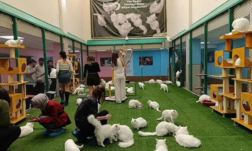 Üniversite öğrencileri Van'da uygulamalı eğitim aldı