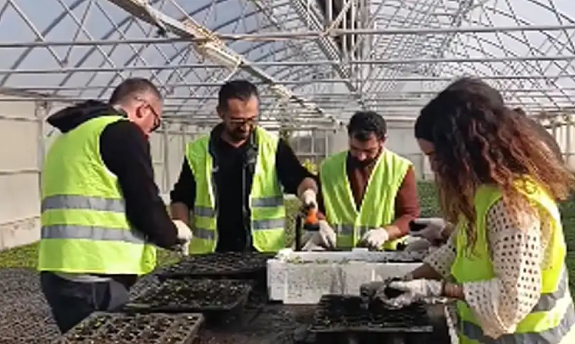 Van Büyükşehir Belediyesi, mevsimlik çiçeklerini kendi üretiyor