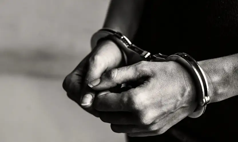 Van'da 11 kişi tutuklandı