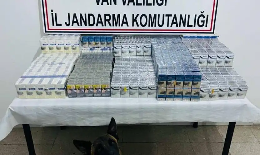 Van'da 3 bin 75 paket kaçak sigara ele geçirildi