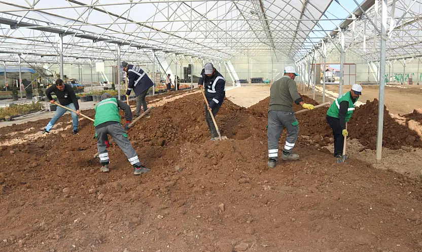 Van'da 4.000 m²'lik sera alanı yenilendi