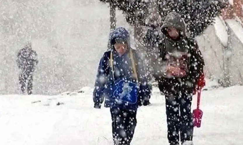 Van'da 4 ilçede eğitime kar engeli