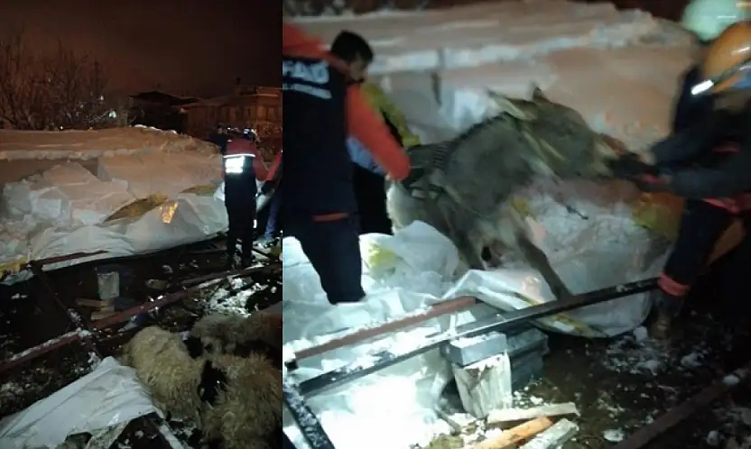 Van'da ahır çöktü, 5 küçükbaş hayvan telef oldu