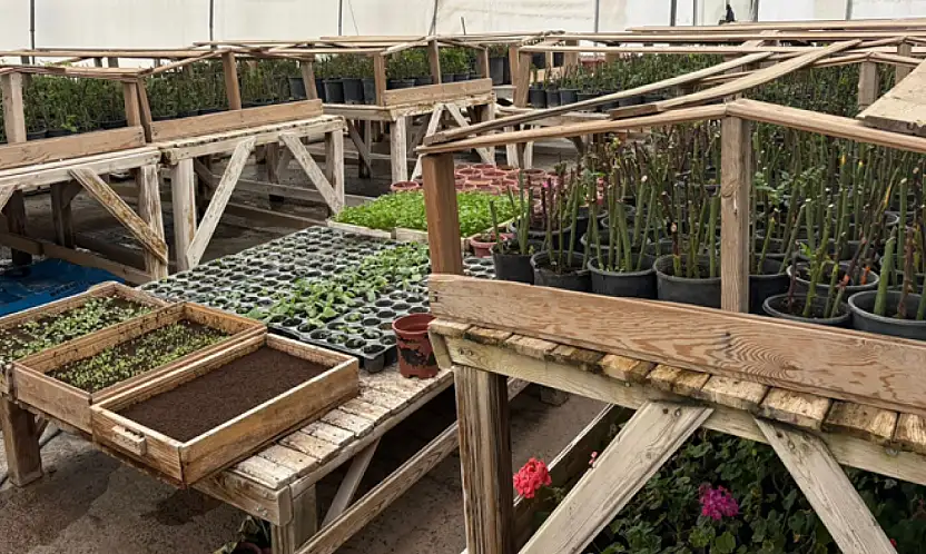 Van'da bahar hazırlıkları tamam: Parklar çiçek açacak