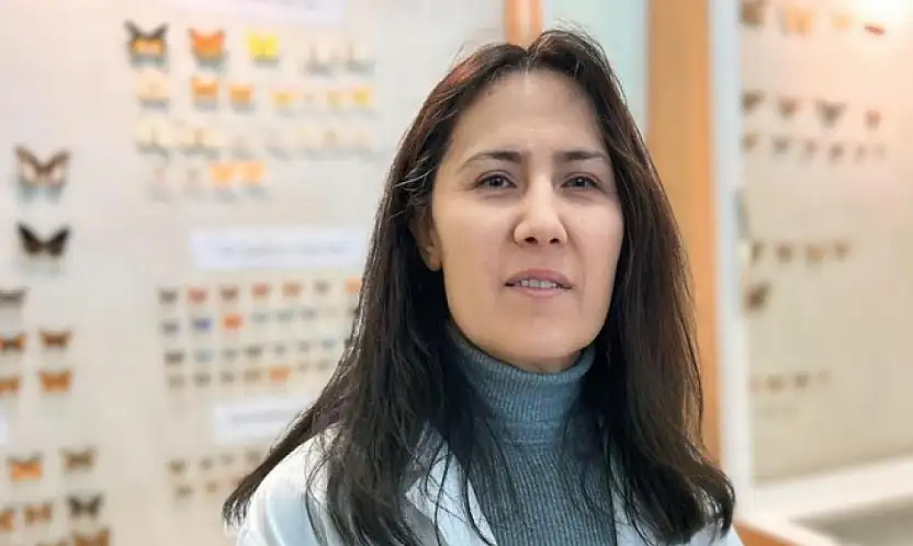 Van'da binlerce kelebeğin korunduğu araştırma koleksiyonu