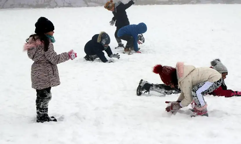 Van'da eğitime kar engeli