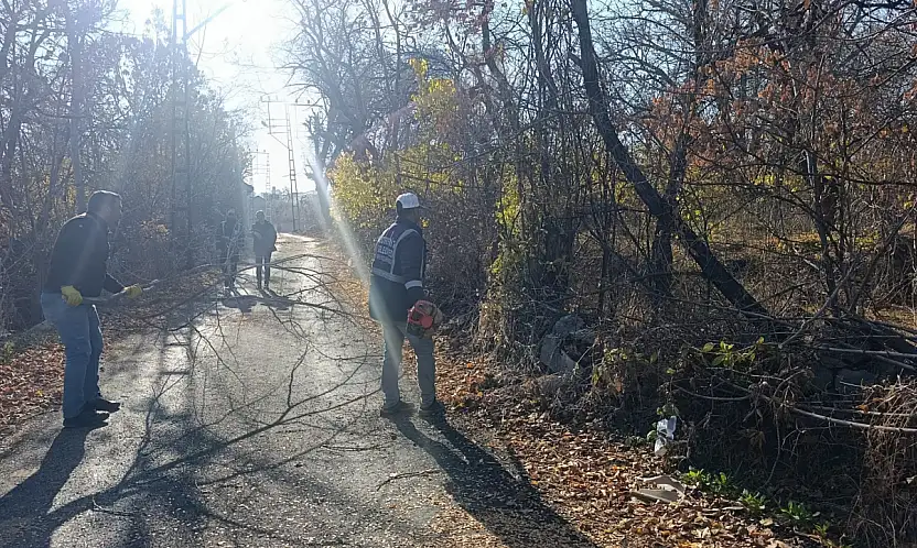 Van'da görüş açısını engelleyen ağaçlara budama yapıldı