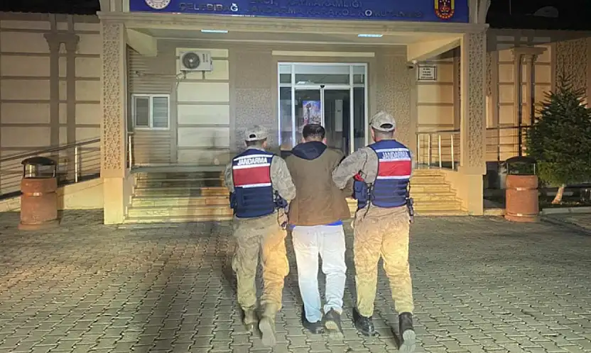 Van'da hırsızlık süsü jandarmaya takıldı