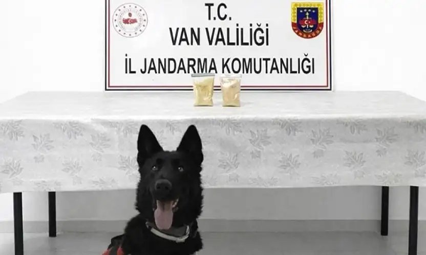 Van'da İranlı şahısın üzerinde eroin ele geçirildi