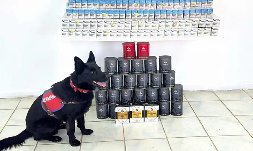 Van'da kaçak sigara ve çay ele geçirildi