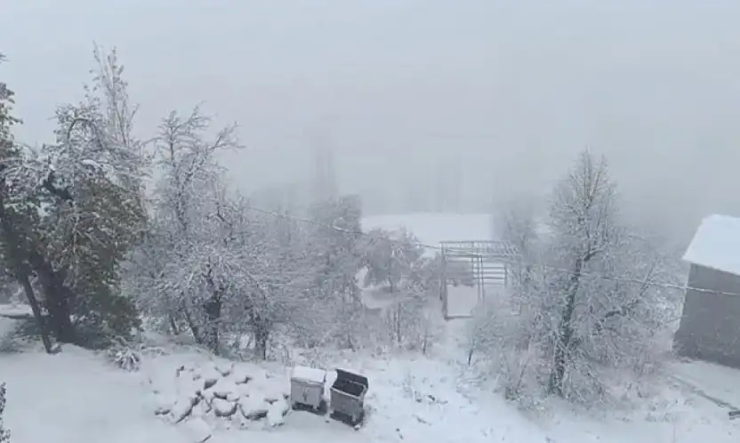 Van'da kar yağışı