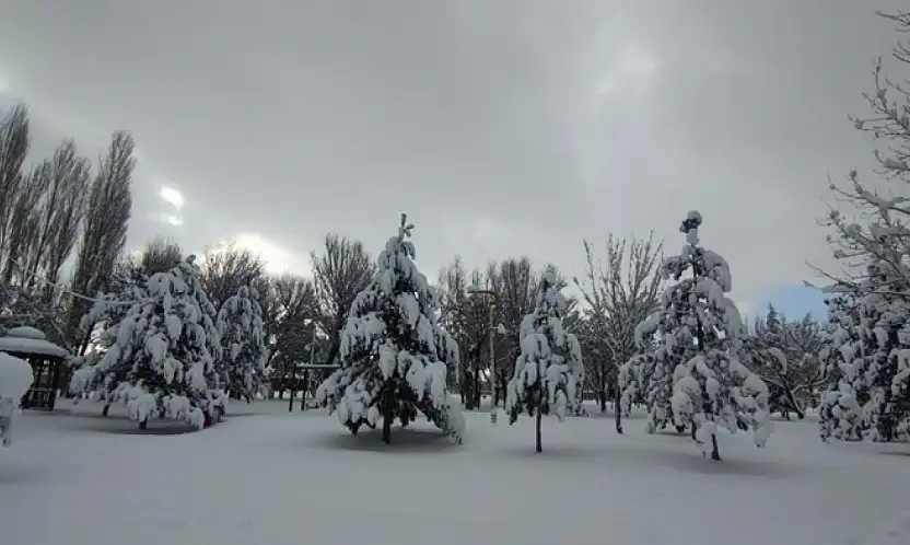 Van'da karla gelen güzellik