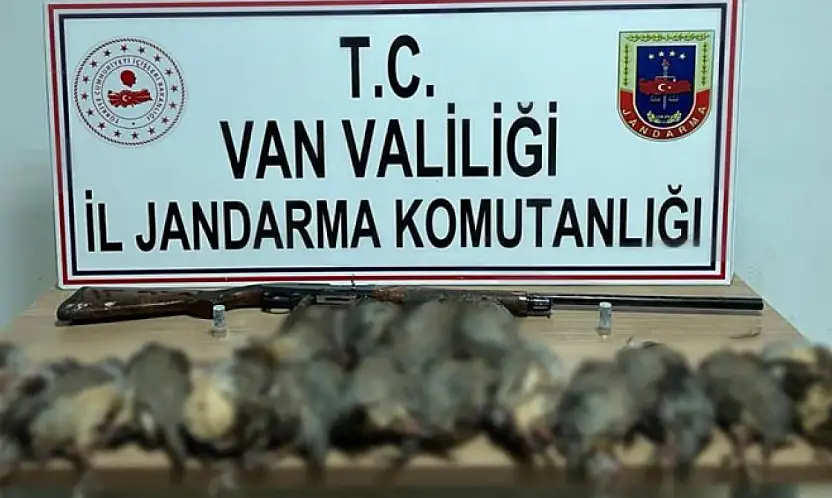 Van'da keklik avına 87 bin TL idari para cezası