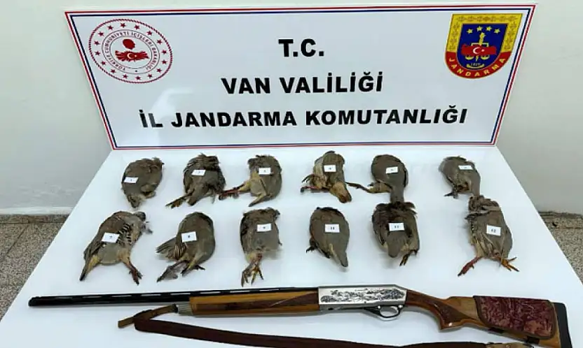 Van'da keklik avlayan kişiye 81 bin TL ceza
