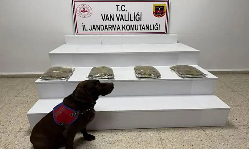 Van'da kubar esrar ele geçildi