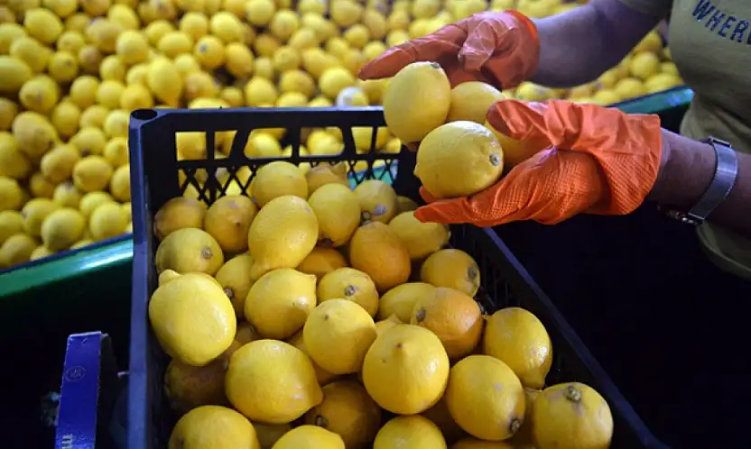 Van'da limon fiyatları cep yakıyor