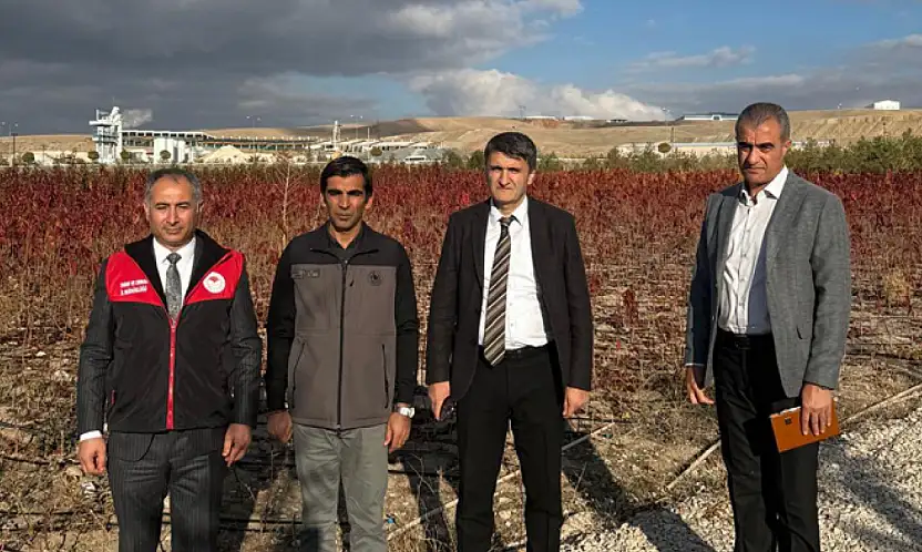 Van'da meyve fidanı üretimini artırma çalışmaları