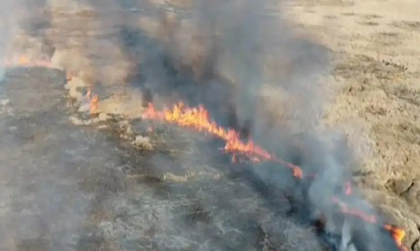 Van'da sazlık yangını