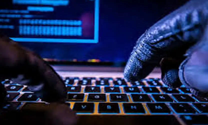 Van'da siber dolandırıcılık operasyonu