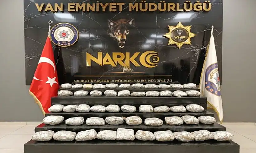 Van'da skunk ele geçirildi