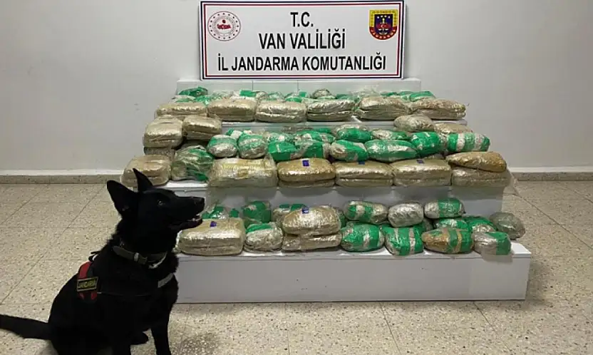 Van'da skunk ele geçirildi