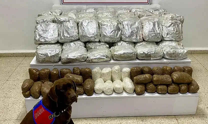 Van'da skunk ve metamfetamin operasyonu