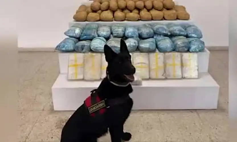 Van'da uyuşturucu kaçakçılarına büyük darbe