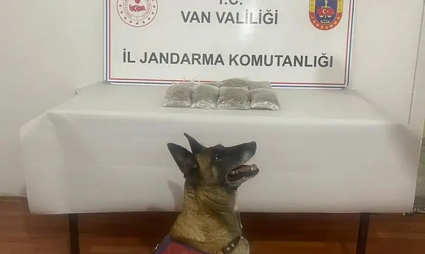 Van'da uyuşturucu madde ele geçirildi
