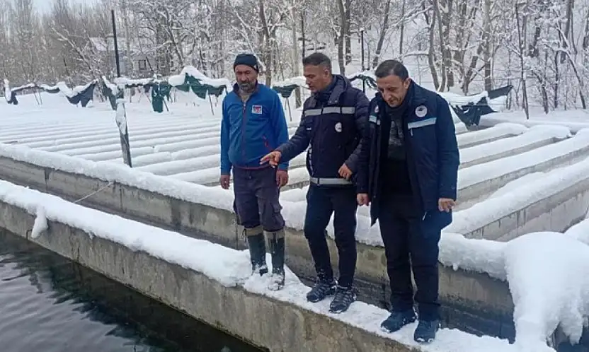 Van'da zorlu kış şartlarında alabalık üretimi mercek altında