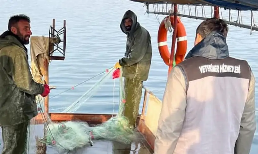 Van Gölü'nde balıkçılık denetimi yapıldı