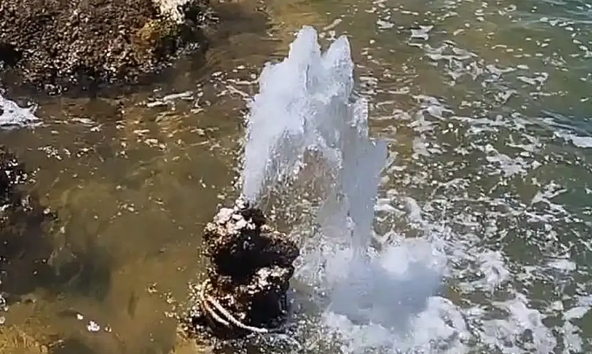 Van Gölü'nde şaşırtan görüntü: Mikrobiyalitten tatlı su fışkırdı