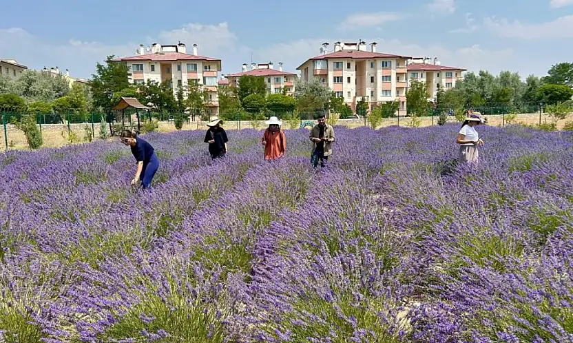 Van YYÜ'de 10 yılda 300 tür bitki yetiştirildi