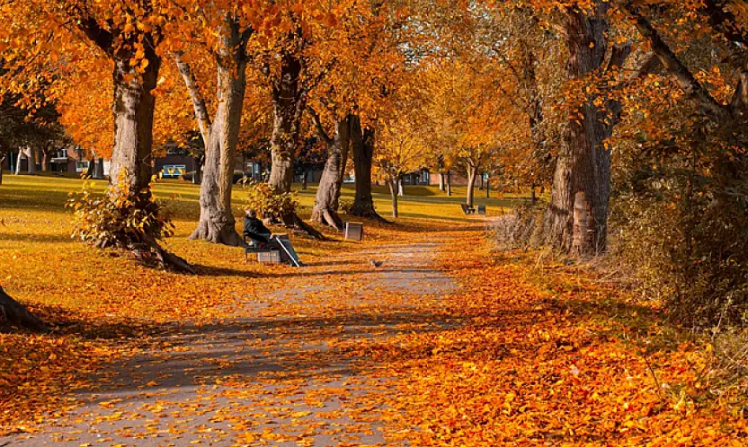 Vanlılar sonbaharın tadına varacak