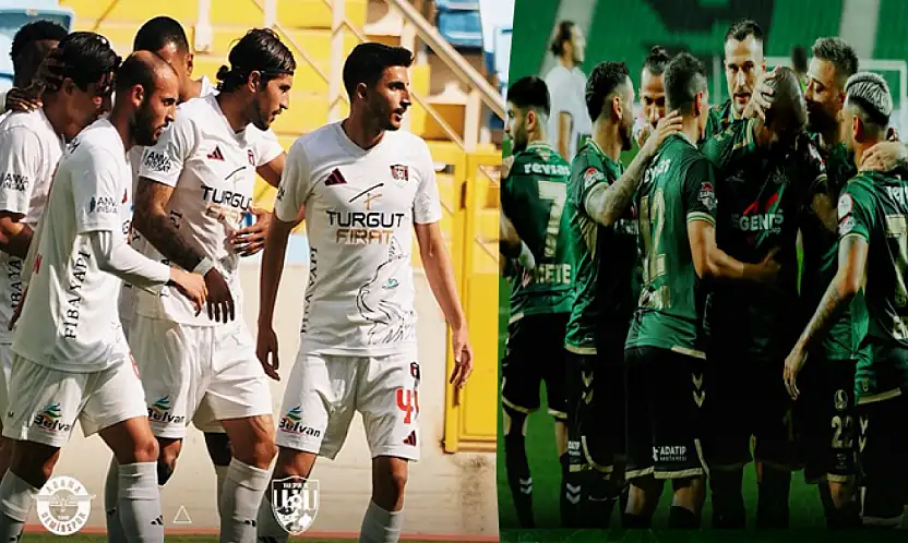 Vanspor, Sakarya'yı eli boş göndermek istiyor