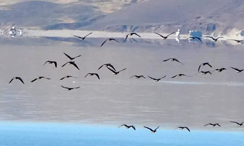 Zorlu göçün durağı Erçek Gölü