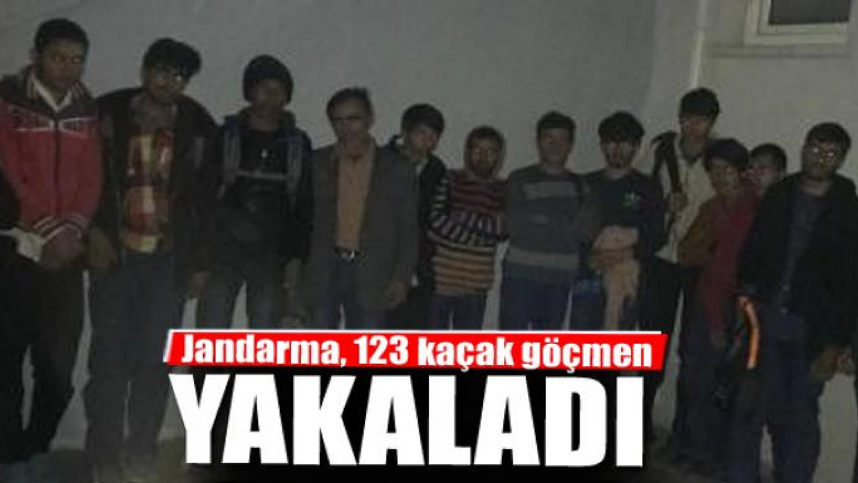 Jandarma, Van'da 123 kaçak göçmen yakaladı 