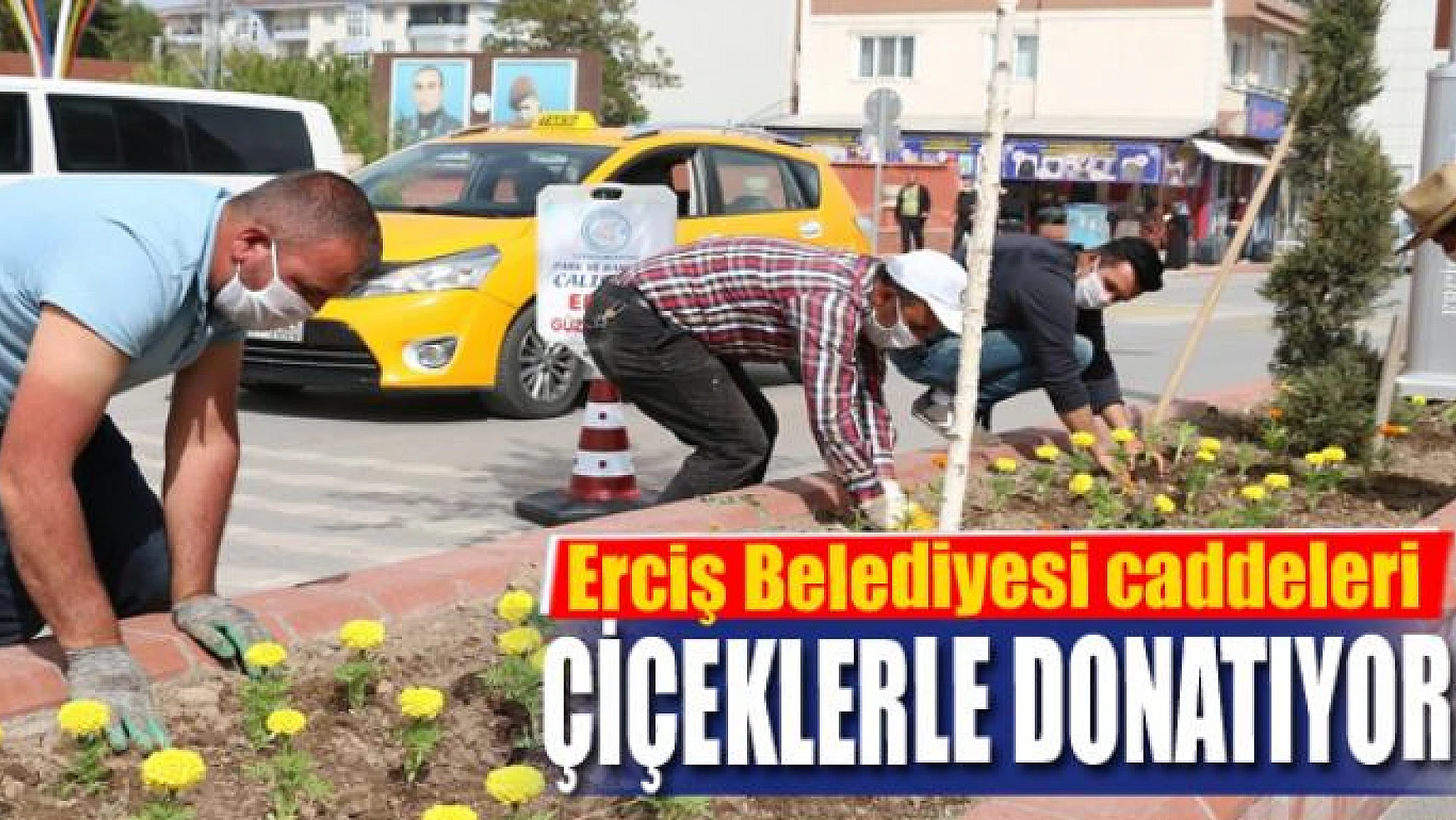 Erciş Belediyesi caddeleri çiçeklerle donatıyor