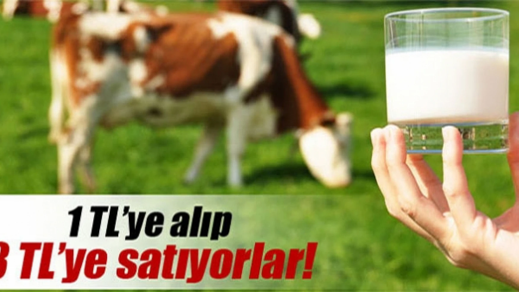 Üreticiden 1 TL'ye alınan süt tüketiciye 3 TL'ye satılıyor