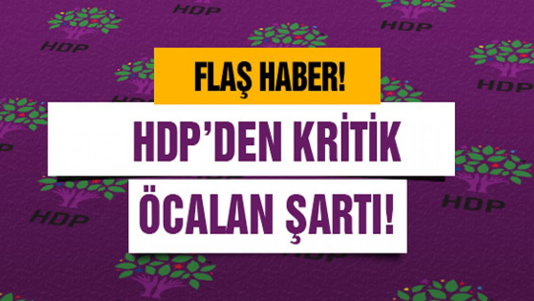 HDP'den son dakika Öcalan şartı!