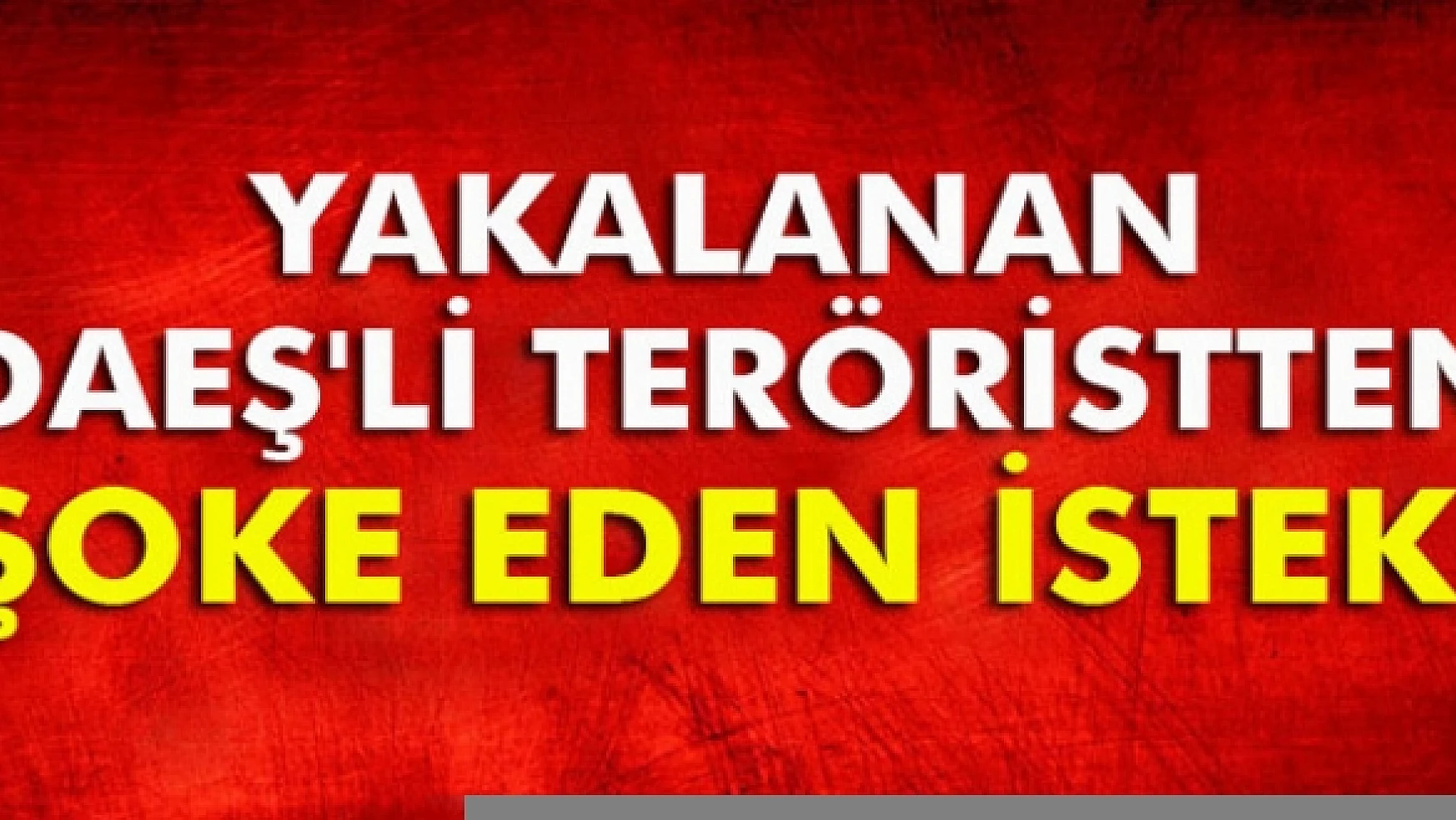 DAEŞ'li terörist: 'Fas'a göndereceğinize bana 100 yıl ceza verin razıyım'