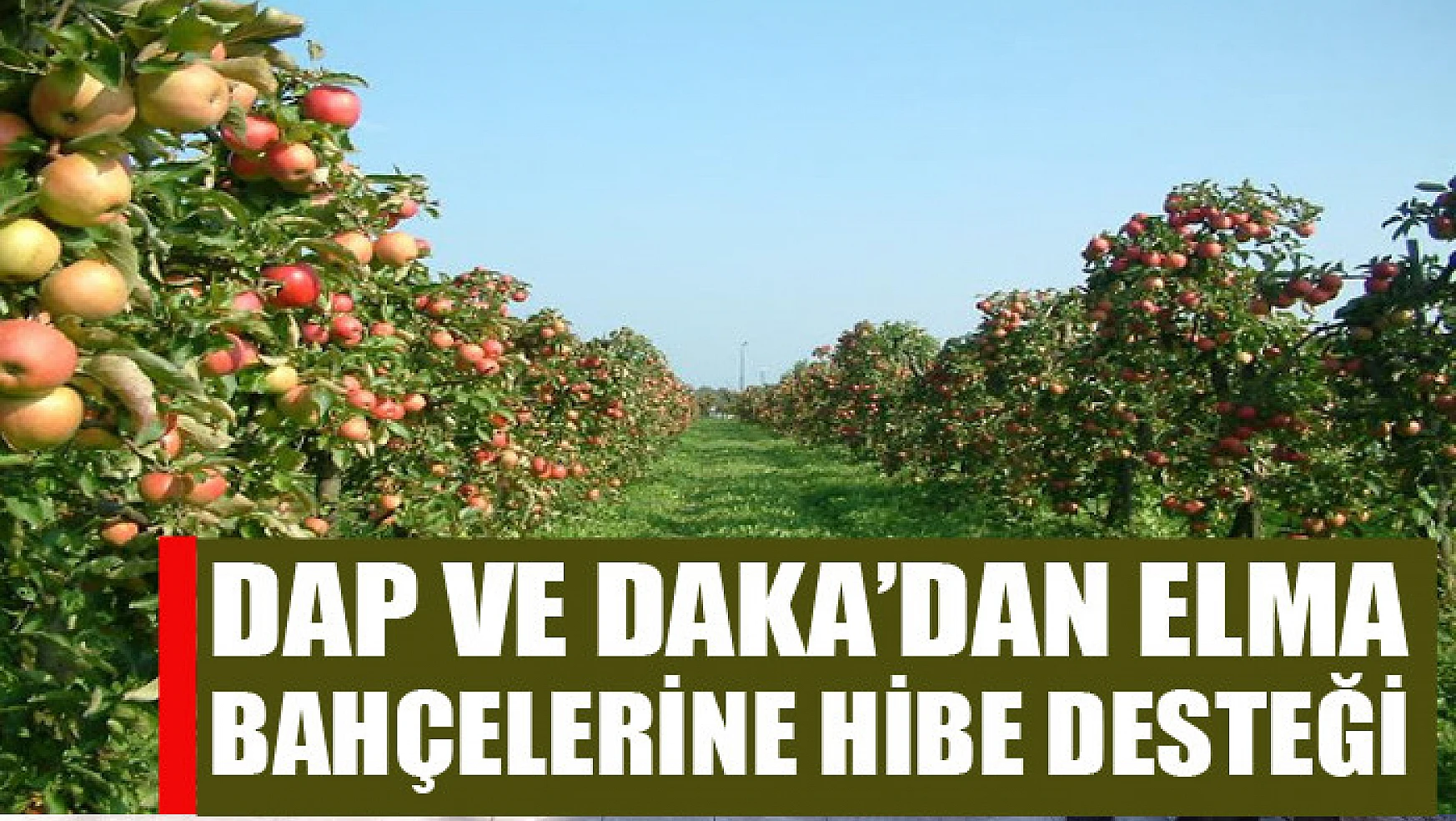 DAP ve DAKA'dan elma bahçelerine yüzde 50 hibe desteği