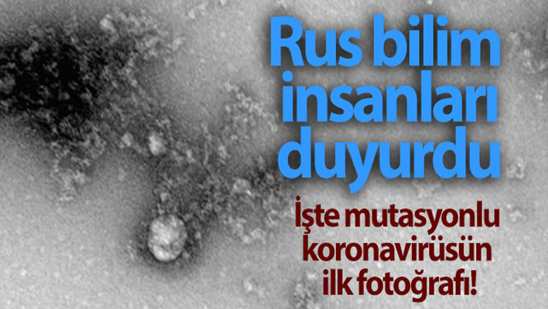Rusya'da, korona virüs mutasyonunun fotoğrafı çekildi
