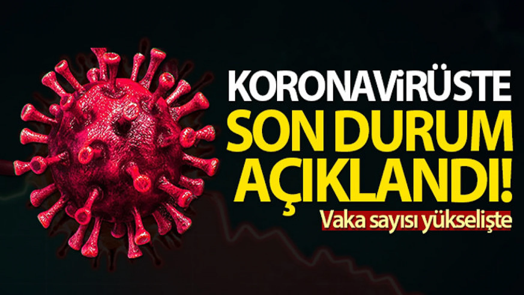 Türkiye'de son 24 saatte 7.795 koronavirüs vakası tespit edildi
