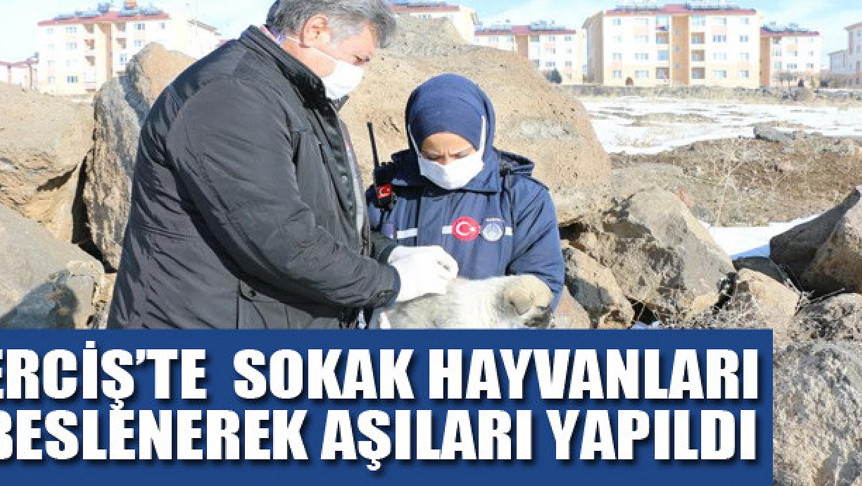 Erciş'te drone ile tespit edilen sokak hayvanları beslenerek aşıları yapıldı