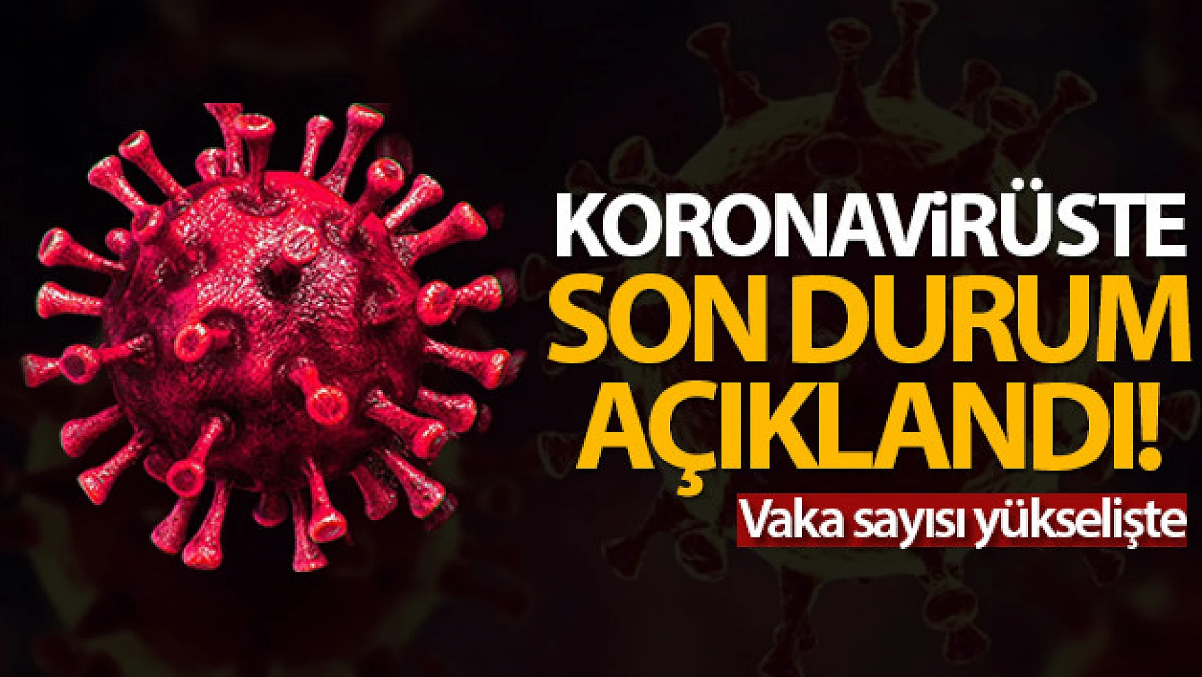 Türkiye'de son 24 saatte 14.556 koronavirüs vakası tespit edildi