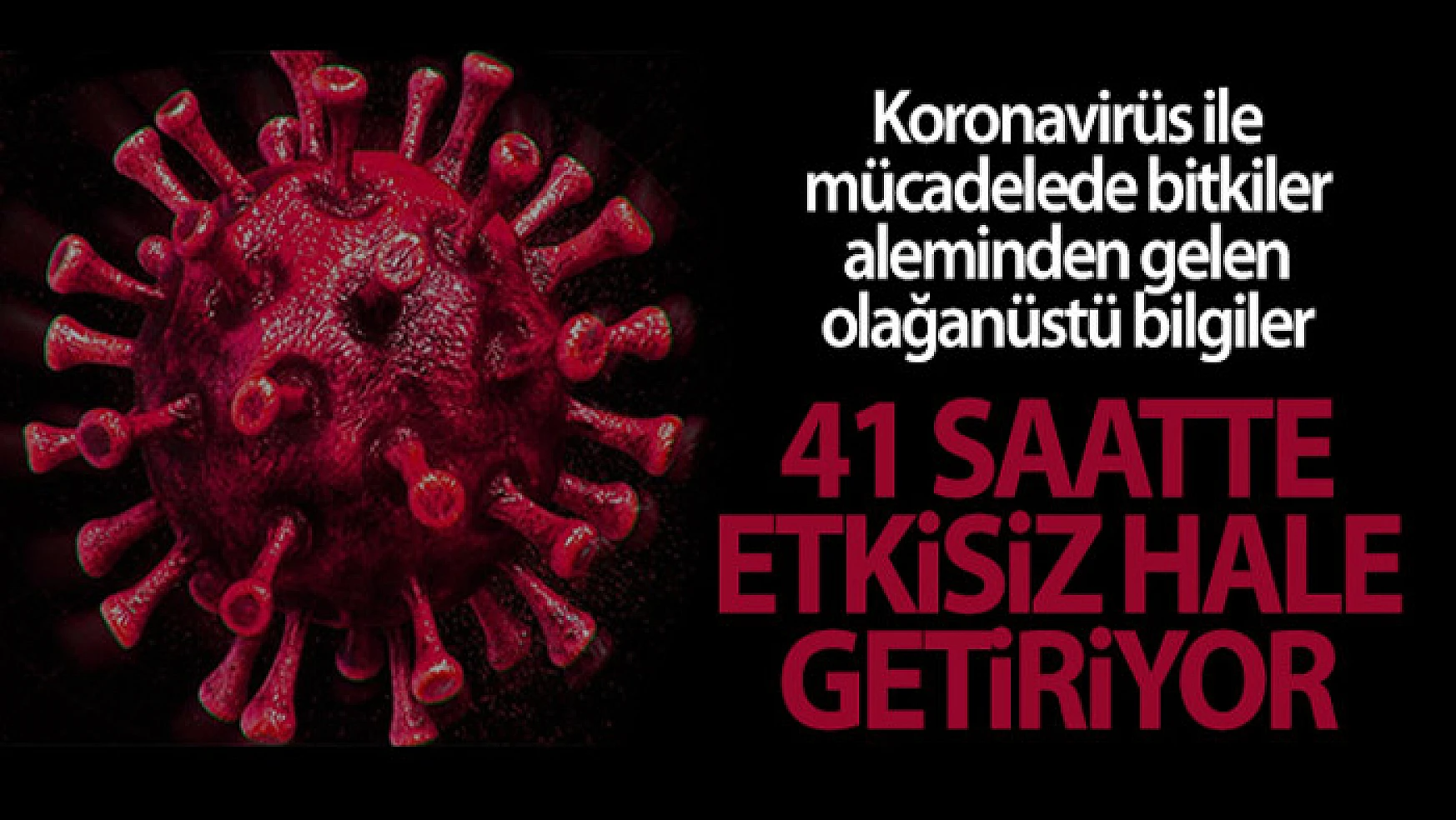 Korana virüsüne karşı kritik çözüm: 41 saatte etkisiz hale getiriyor