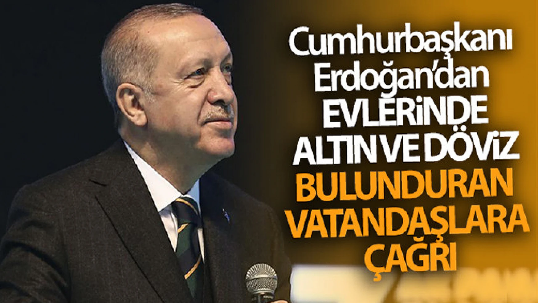 Cumhurbaşkanı Erdoğan'dan evlerinde altın ve döviz bulunduran vatandaşlara çağrı