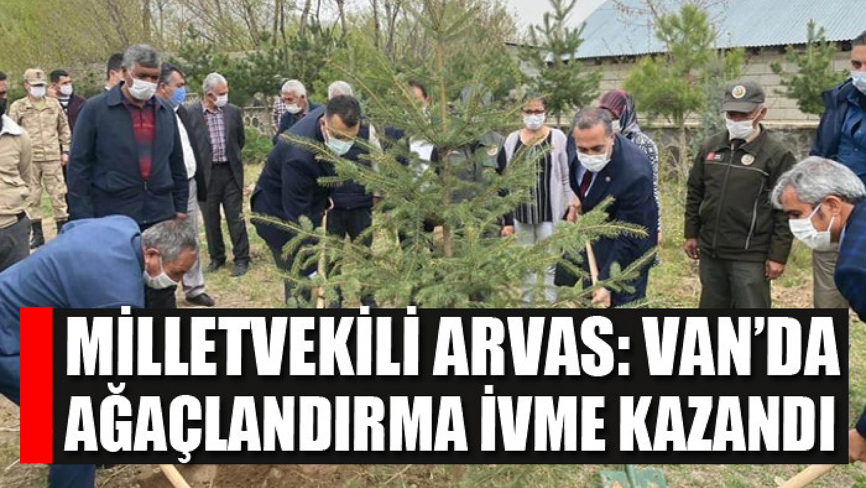 Milletvekili Arvas: Van'da ağaçlandırma ivme kazandı