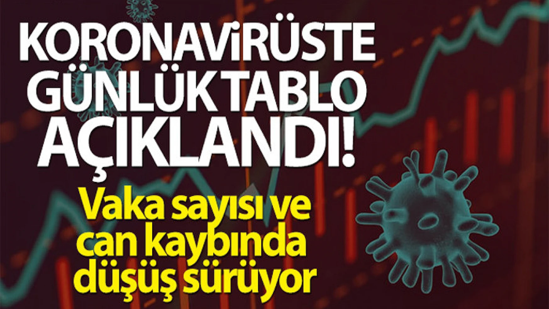 Türkiye'de son 24 saatte 22.388 koronavirüs vakası tespit edildi
